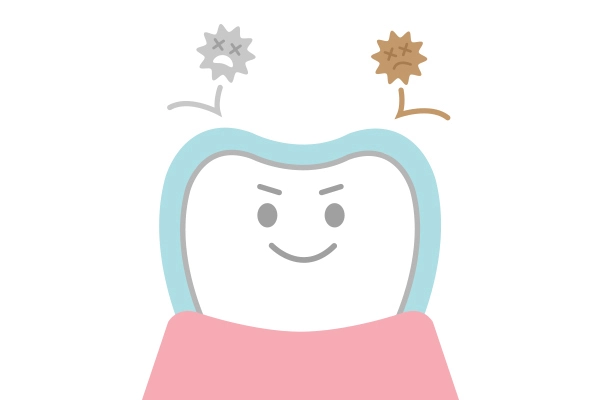 むし歯菌を抑制します