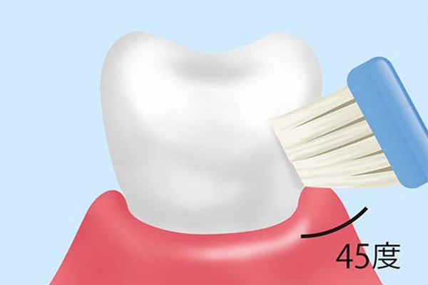 ブラッシング指導